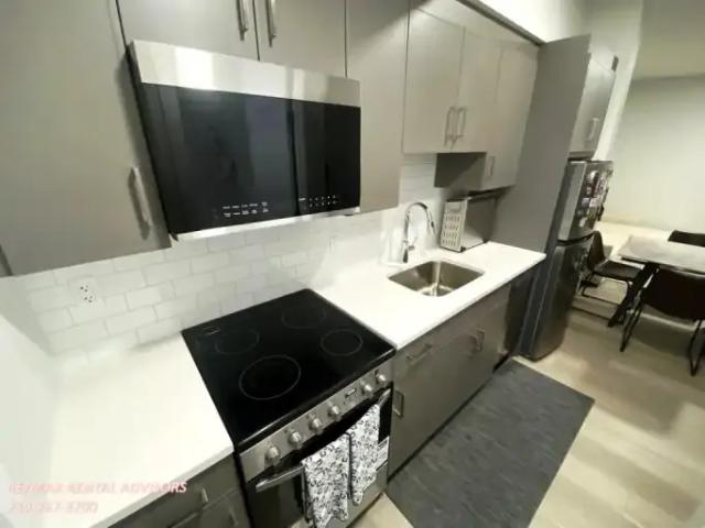 Apartment 1 Bedroom For Rent Edmonton AB 1250 ELS98219996