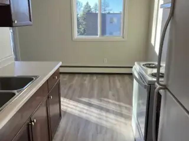 Apartment 1 Bedroom For Rent Edmonton AB 1250 ES103739354