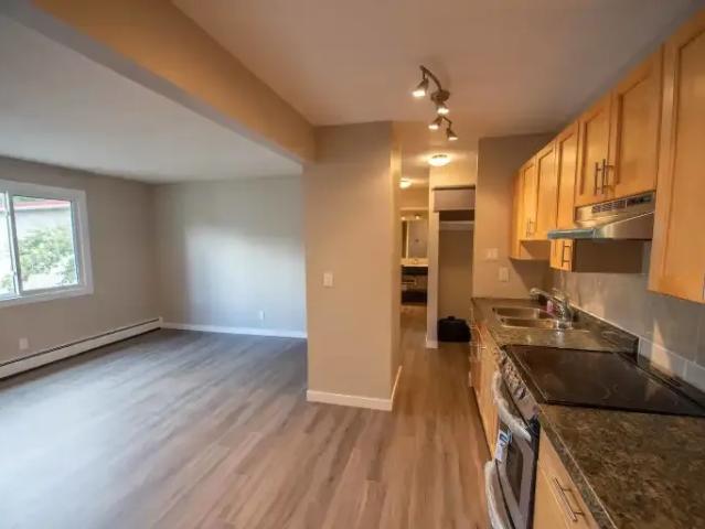 Apartment 1 Bedroom For Rent Edmonton AB 1250 ES104067069
