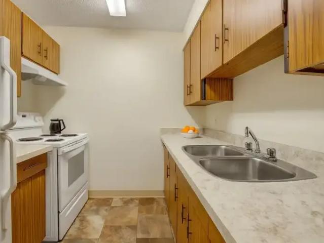 Apartment 1 Bedroom For Rent Edmonton AB 1250 ES105149454