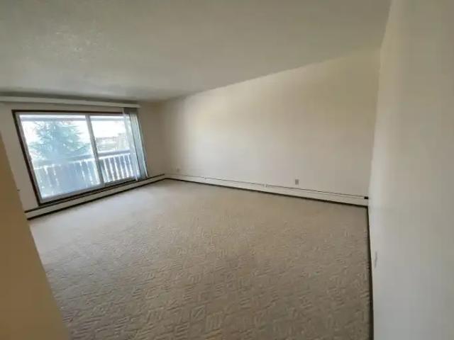 Apartment 1 Bedroom For Rent Edmonton AB 1250 ES106044767