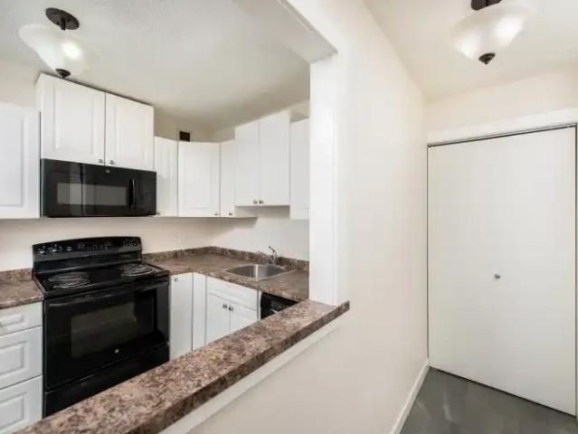 Apartment 1 Bedroom For Rent Edmonton AB 1260 ES103118324