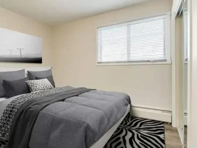 Apartment 1 Bedroom For Rent Edmonton AB 1265 ES103839272