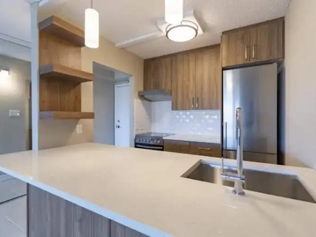 Apartment 1 Bedroom For Rent Edmonton AB 1285 ES105134901