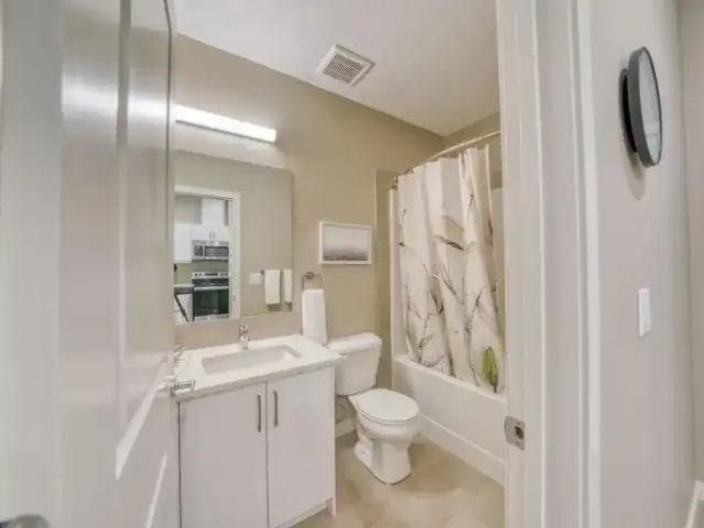 Apartment 1 Bedroom For Rent Edmonton AB 1290 ELS96589978