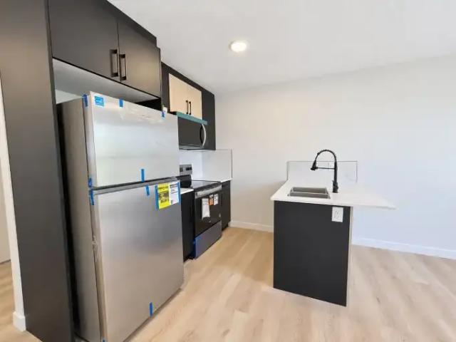 Apartment 1 Bedroom For Rent Edmonton AB 1295 ES105602090