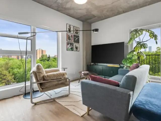 Apartment 1 Bedroom For Rent Edmonton AB 1332 ES105047461