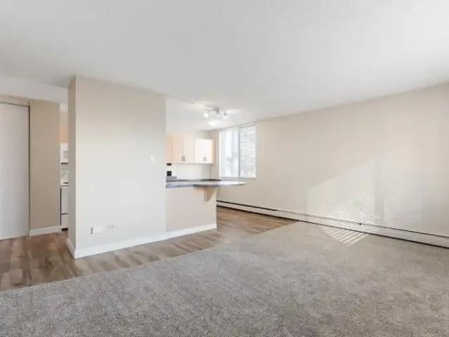 Apartment 1 Bedroom For Rent Edmonton AB 1375 ELS103151677