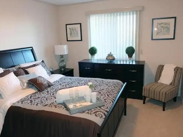 Apartment 1 Bedroom For Rent Edmonton AB 1397 ES100227203
