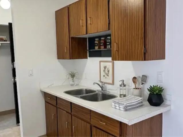 Apartment 1 Bedroom For Rent Edmonton AB 975 ES105580544