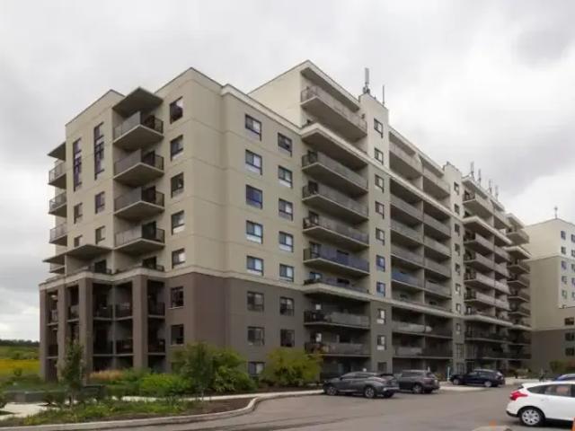 Apartment 1 Bedroom For Rent Guelph ON 2089 ES105653875