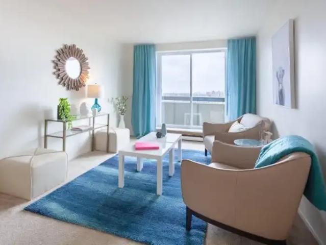 Apartment 1 Bedroom For Rent Gatineau QC 1219 ES103011296