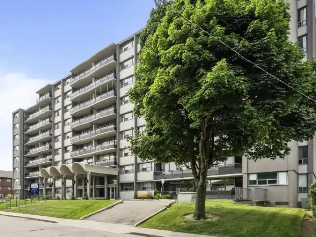 Apartment 1 Bedroom For Rent Hamilton ON 1475 ES103569021