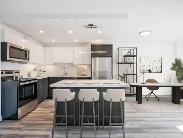 Apartment 1 Bedroom For Rent Hamilton ON 1795 ES102578194