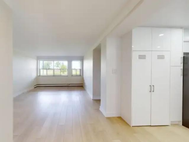 Apartment 1 Bedroom For Rent Hamilton ON 1949 ES102700743