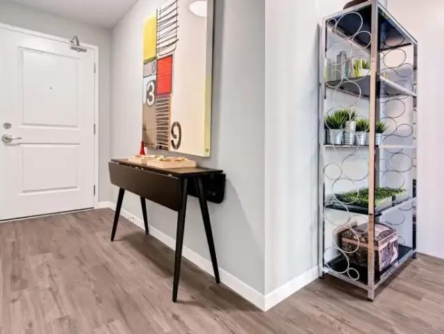 Apartment 1 Bedroom For Rent Hamilton ON 1960 ELS104840896