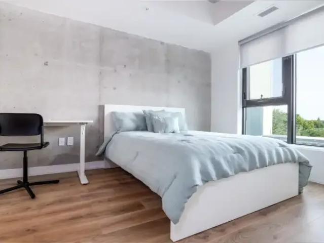 Apartment 1 Bedroom For Rent Kingston ON 2500 ES99752888