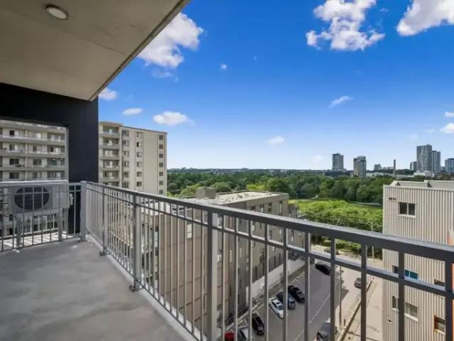 Apartment 1 Bedroom For Rent Kitchener ON 800 ES105525912