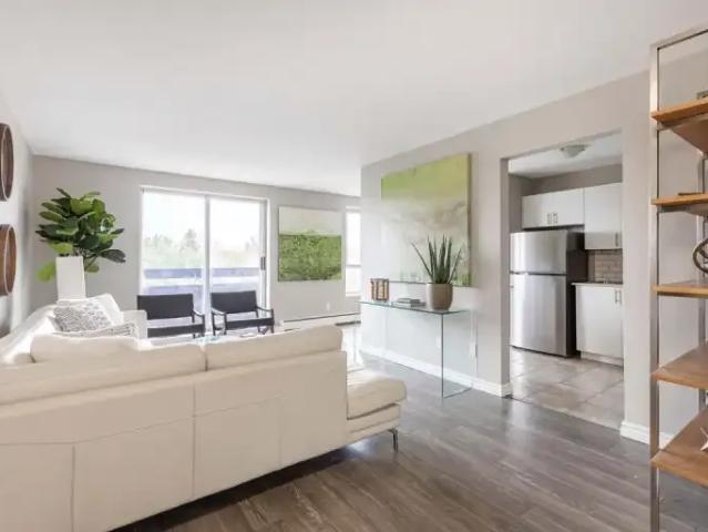 Apartment 1 Bedroom For Rent Kitchener ON 1599 ES103423871