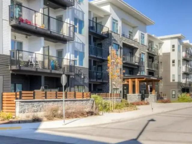 Apartment 1 Bedroom For Rent Kitchener ON 1750 ES103151807
