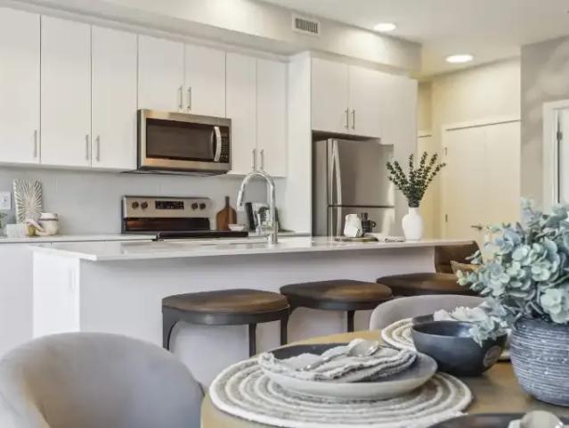Apartment 1 Bedroom For Rent Kitchener ON 1926 ES104956922