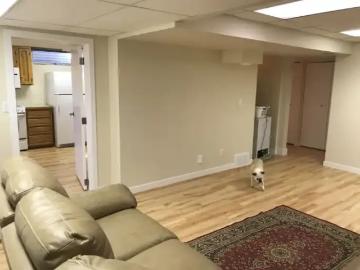 Apartment 1 Bedroom For Rent Leduc AB 1150 ELS98956226