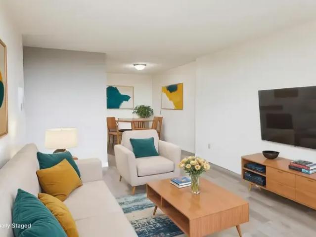 Apartment 1 Bedroom For Rent Lethbridge AB 1275 ES96586167