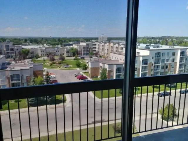 Apartment 1 Bedroom For Rent Lethbridge AB 1200 ELS99792524
