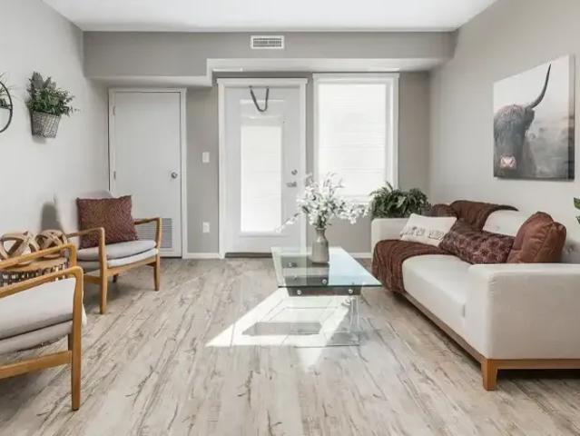 Apartment 1 Bedroom For Rent Lethbridge AB 1598 ES105149393