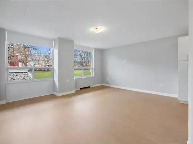 Apartment 1 Bedroom For Rent London ON 1550 ES103090892