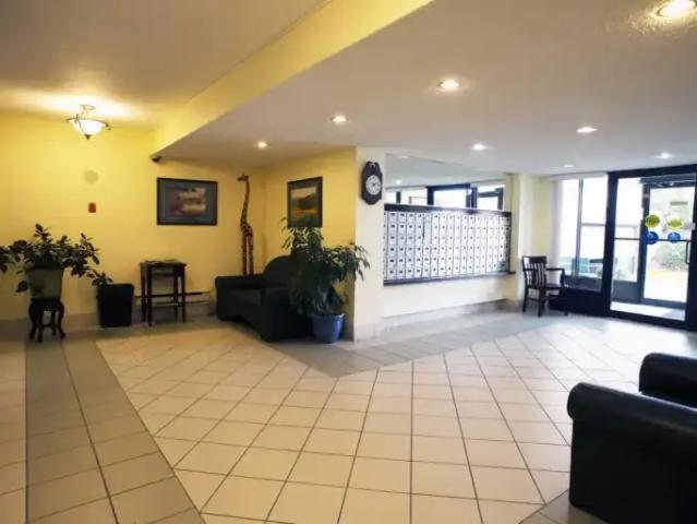 Apartment 1 Bedroom For Rent Peterborough ON 1900 ES100759190