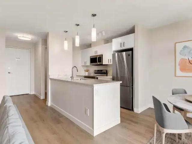 Apartment 1 Bedroom For Rent Regina SK 1550 ES106181312