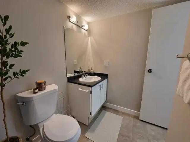 Apartment 1 Bedroom For Rent Red Deer AB 1275 ES103695165