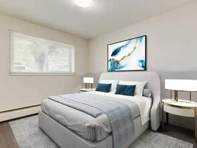 Apartment 1 Bedroom For Rent Red Deer AB 1355 ES104400383
