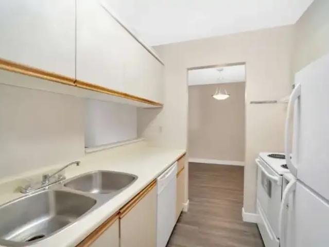 Apartment 1 Bedroom For Rent Richmond BC 2020 ES100330318