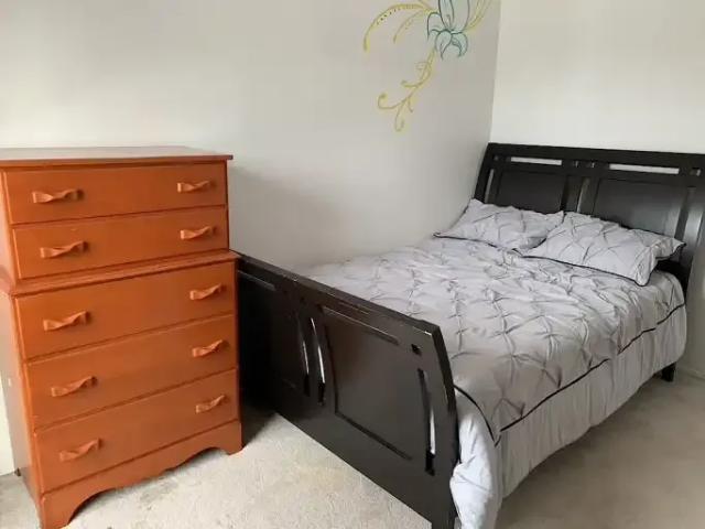 Apartment 1 Bedroom For Rent St. Albert AB 780 ES105023194