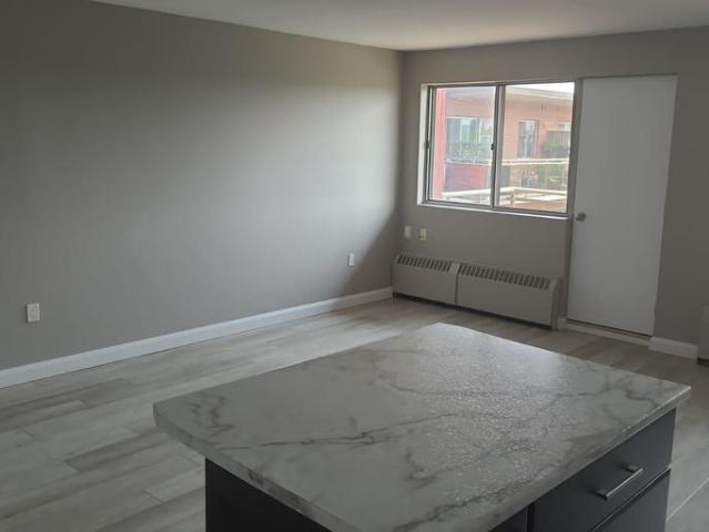Apartment 1 Bedroom For Rent Sudbury ON 2099 ES94753718