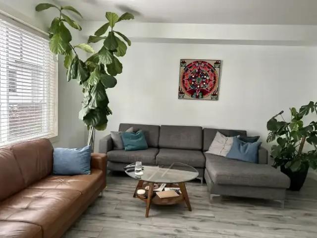 Apartment 1 Bedroom For Rent Surrey BC 850 ES105643507