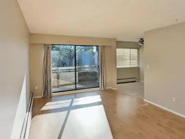 Apartment 1 Bedroom For Rent Surrey BC 1550 ELS96586117