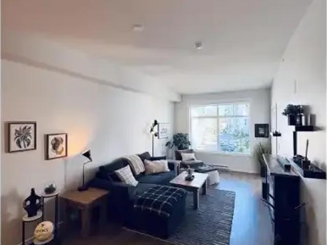 Apartment 1 Bedroom For Rent Surrey BC 2100 ES105119066