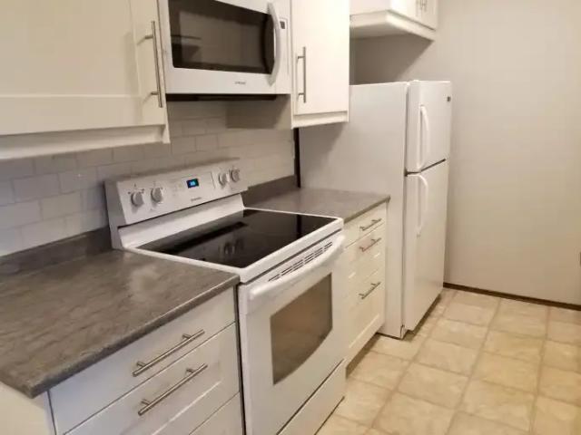 Apartment 1 Bedroom For Rent Saskatoon SK 1250 ES105308489