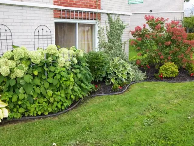 Apartment 1 Bedroom For Rent Sault Ste. Marie ON 1440 ES105877042