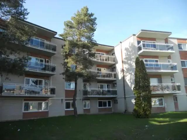 Apartment 1 Bedroom For Rent Sault Ste. Marie ON 1450 ES100409837