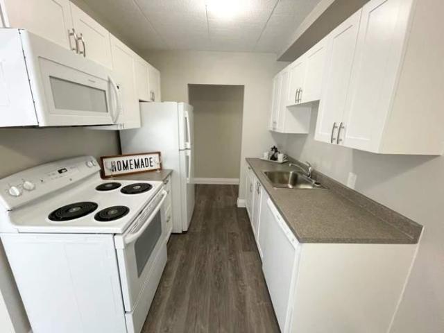 Apartment 1 Bedroom For Rent Sault Ste. Marie ON 1550 ES94210372