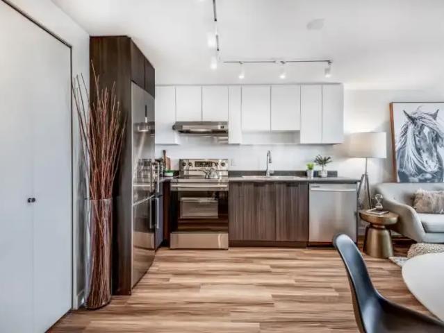 Apartment 1 Bedroom For Rent Vancouver BC 2375 ES105359424