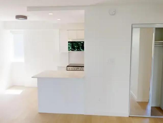 Apartment 1 Bedroom For Rent Vancouver BC 2419 ES105185409
