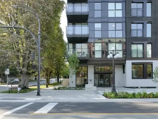 Apartment 1 Bedroom For Rent Victoria BC 1825 ES105410554