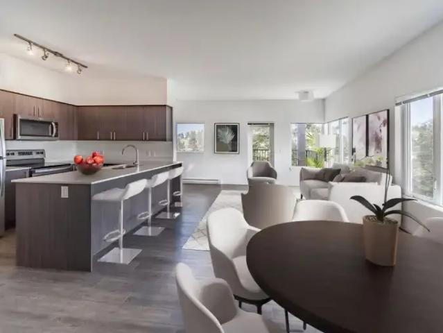 Apartment 1 Bedroom For Rent Victoria BC 2049 ES103541622