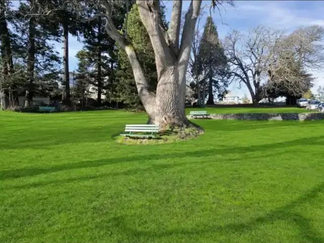 Apartment 1 Bedroom For Rent Victoria BC 2262 ES104972184