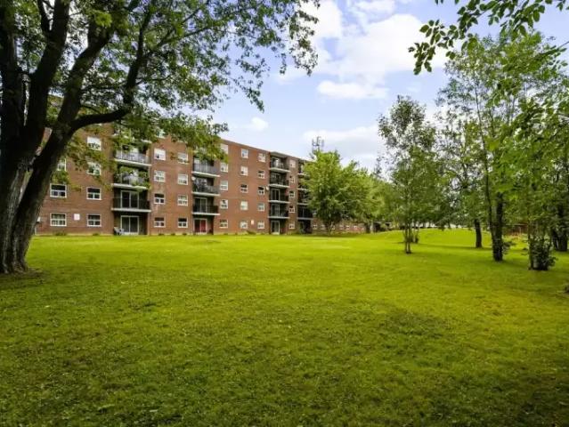 Apartment 1 Bedroom For Rent Welland ON 1535 ES103578803